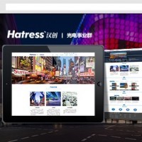 深圳安防公司網站建設方案 *監控企業網站設計費用